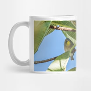 Japanese white-eye of honolulu Mug